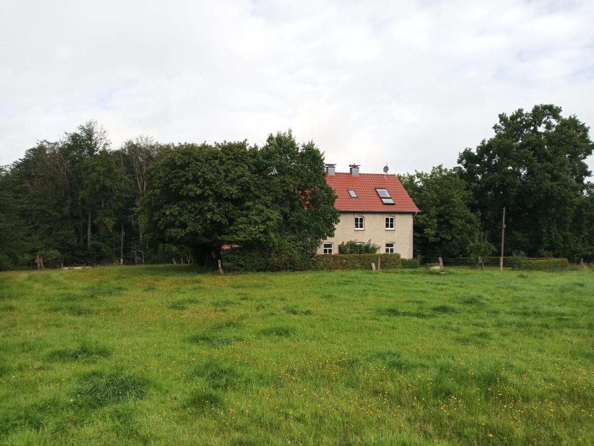 Apartment Erholen Und Wohlfuehlen Auf Dem Knick Detmold